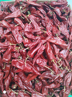 8000 SHU Yidu Chili Pedas Chilli Flavour Beijinghong Jinta Chilli