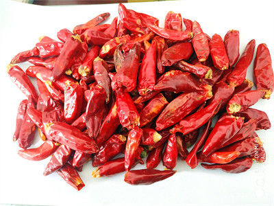 Dalam Vitamin C Red Jinta Chili Pepper