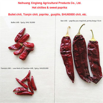 Pedas Pedas Dingin Red Chili 10-25Kg/Kantong 000-20 Scoville