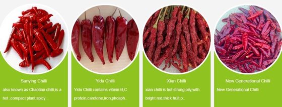 Cabe merah dengan rasa yang kuat Dipertahankan di area kering yang dingin