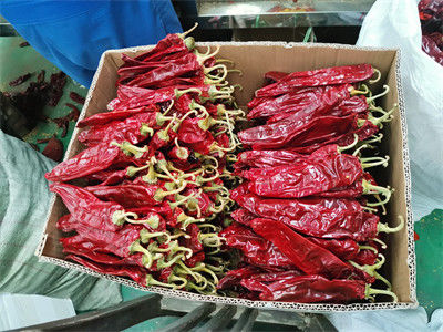 Red Dried Paprika Peppers Spice And Seasoning Powder Untuk Perusahaan Bahan Makanan