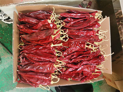 Kualitas tinggi tanaman baru Cina Paprika Pods dengan batang,Sweet paprika dengan batang / tanpa batang,Chilli merah kering