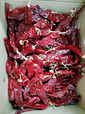 Buah Pepper Cayenne kering tanpa batang atau dipotong batang 12% Max Kelembaban
