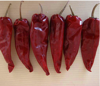 100g Natural Round Tianjin Red Chili
