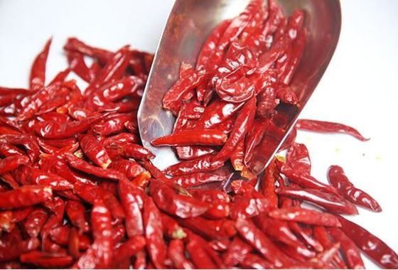 Bersertifikat HALAL 12% Kelembaban Kering Cabai Merah Capsicum