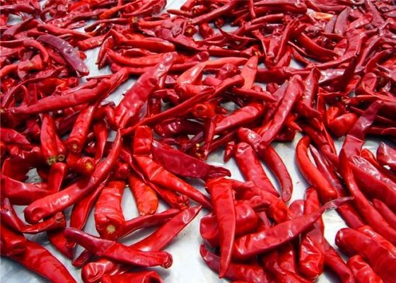 Sanying Dehydrating Hot Peppers Mala Kering Cabai Utuh KOSHER