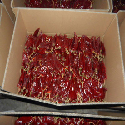 XingLong Red Bell Peppers Kering 8% Kelembaban Cakar Cabai Kering Cabai