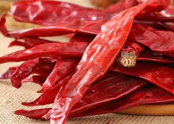 Erjingtiao Paprika Merah Kering Dehidrasi Utuh Rasa Kaya Vitamin Yang Kuat