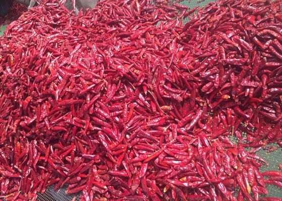 100% Murni Kering Arbol Pepper 70mm Tien Tsin Paprika Merah Kering Matahari Sun