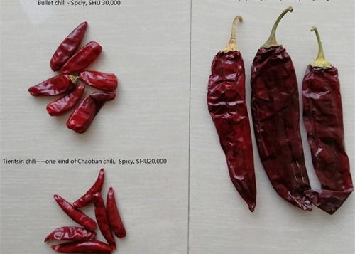 Cabai Merah Tianjin Kering Udara Sedang Hot Stemmed Kering Chili Pods