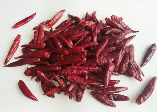 Cabai Merah Tianjin Tanpa Batang Grade A Tientsin Polong Chili Merah Kering