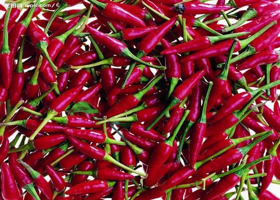 Tianjin Red Chilies Rasa Pedas Asli dari Cina