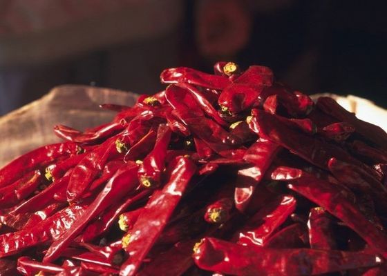 Authentic Chili Peppers Erjingtiao Dried Chilis dengan 8-12% Kelembaban dan Air Dried Process