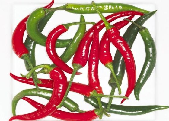 Air Dried Erjingtiao Dried Chilis tanpa batang dan dikemas dengan Chili Peppers