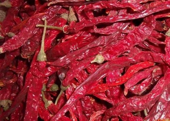 Authentic Chili Peppers Erjingtiao Dried Chilis dengan 8-12% Kelembaban dan Air Dried Process
