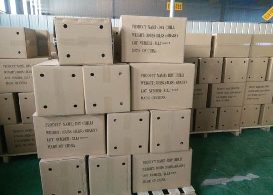 Chili Mata Burung Kering Kaya Vitamin dan Mineral Penting