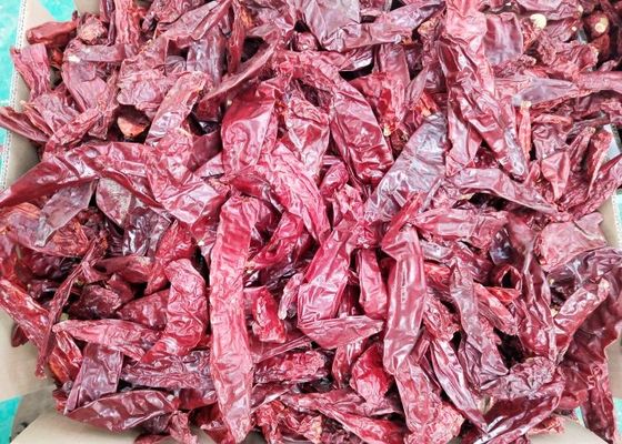 Kelas A Guajillo kering Chili Merah tanpa batang lada manis