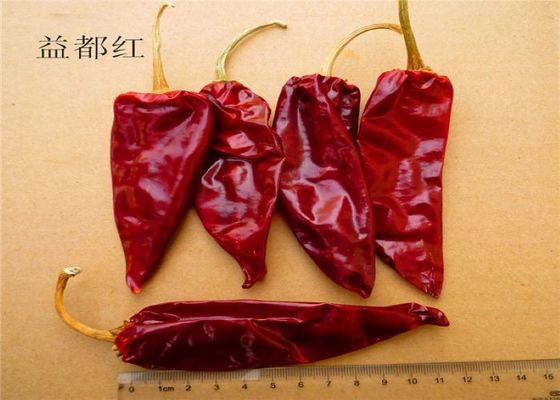 12cm Kering Paprika Pedas Cabai Merah Kering Pedas Polong 12% Kelembaban