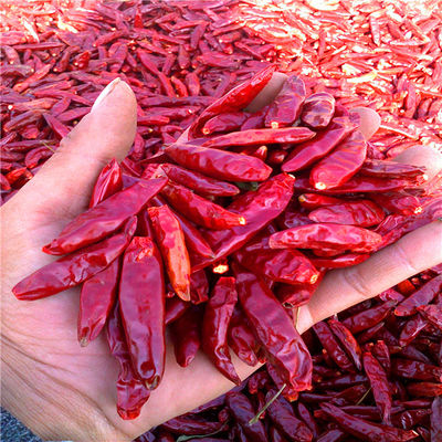 Tientsin Red Chilli Peppers 15000SHU Paprika Merah Pedas Dehidrasi