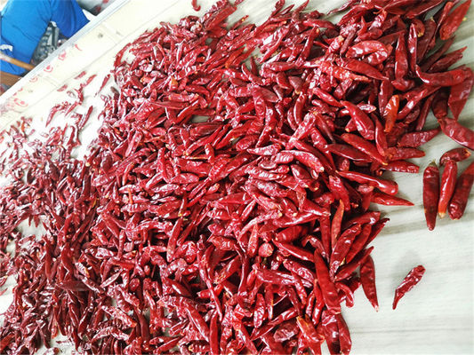 Buah cabai merah utuh kering Berkhasiat Pedas dan Kaya Vitamin C