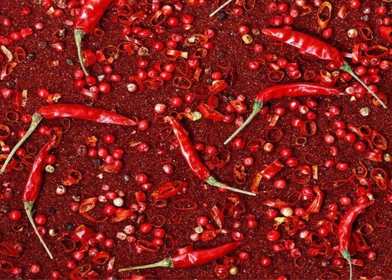 Kimchi Chilli Pepper Powder Xinglong Bubuk Cabai Merah Ringan 40M