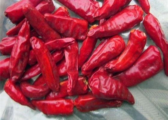 Sundried Facing Heaven Chilli 3CM Hot Pot Chaotian Chilli Aroma Pedas