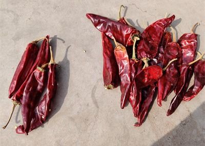Cabai Merah Panjang Kering Manis Organik Guajillo Peppers Panjang 10cm