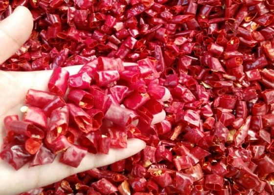 Chili Pepper Variety Spicy Pepper Ring untuk Bumbu Herbal Tunggal