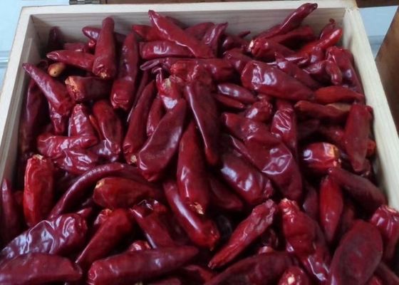 KOSHER Pepper Chile De Arbol 25KG Chilis Kering Pedas Panjang 40mm