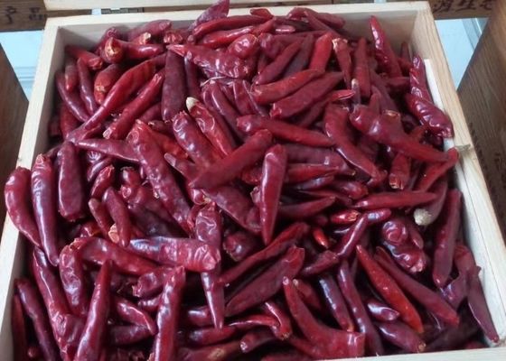 Organic De Arbol Chile Tianjin Kering Pedas Paprika 50000SHU Super Hot