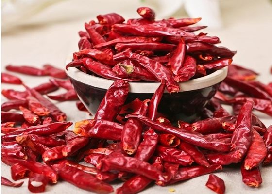 Buah Chili Merah Tianjin Meningkatkan Kreasi Kuliner Anda Dengan Rasa Api