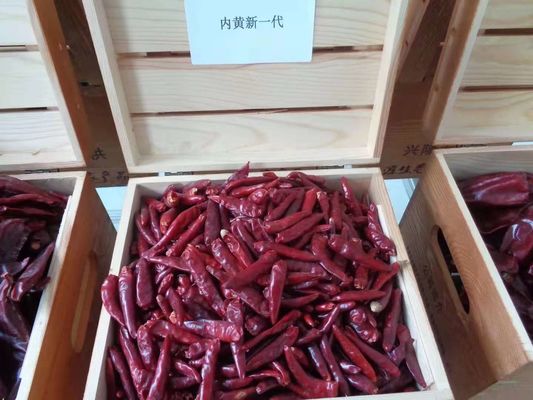 7CM Cabai Merah Panjang Kering 50000SHU Dehydrated Tianjin Chili ISO