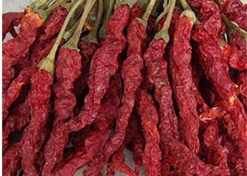 Bumbu Xian Chilli Block Bentuk Cabe Merah Kering Panjang Tanpa Batang