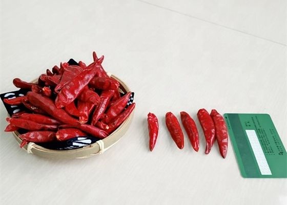 Nol Tambahan Cabe Merah Kecil Premium 10KG Tianjin Peppers