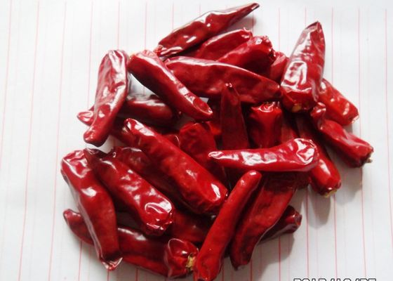 Dalam Vitamin C Red Jinta Chili Pepper