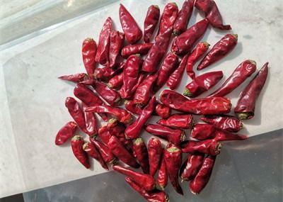 Red Bullet Chaotian Pepper Stick Bentuk Sichuan Menghadapi Surga Cabai