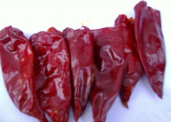 HACCP Paprika Paprika Kering Herbal Tunggal Tanpa Batang Cabai Merah Utuh Kering