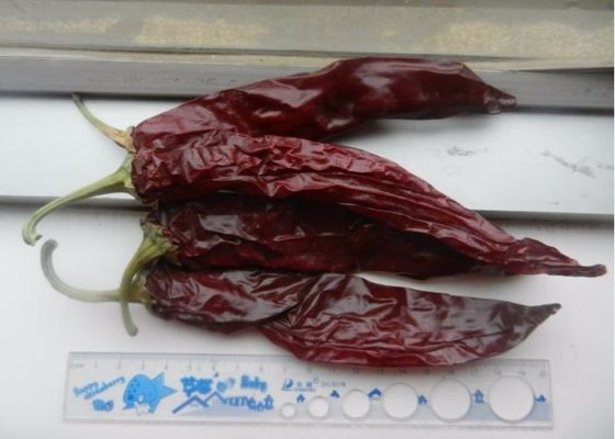 Natural Red Sweet Paprika Pepper Kelembaban 14-16% Max 7-19cm