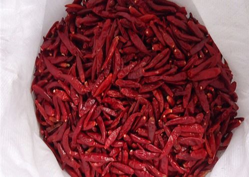 HACCP Tianjin Red Chilies Cayenne Polong Cabai Kering 12% Kelembaban