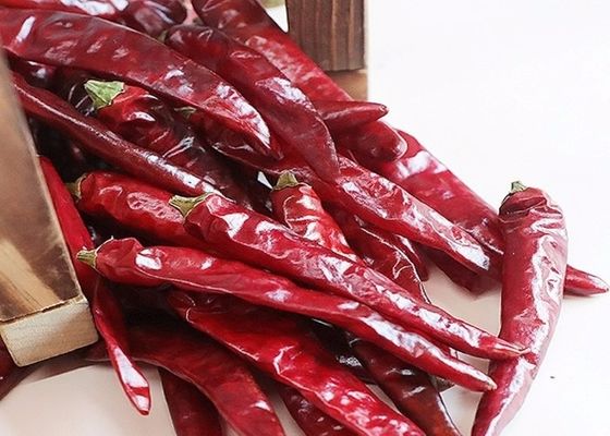 Tianjin Red Chilies Rasa Pedas Asli dari Cina