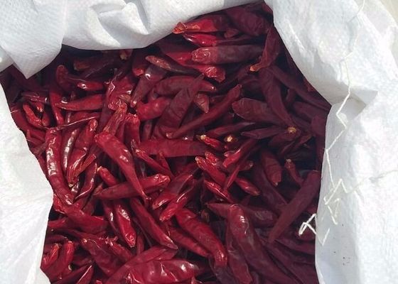 100g Dried Asian Red Tianjin Chili Peppers Rasa Rasa Otentik