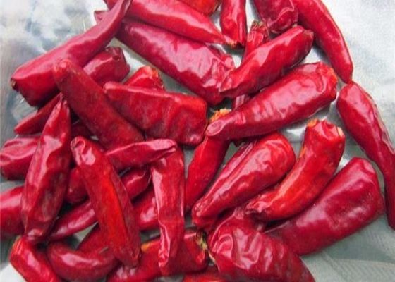 Menanam bahan-bahan cabe Simpan di tempat yang dingin dan kering