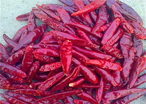 Stemless AD Cabai Mata Burung Kering 20000SHU Red Chilli Peppers