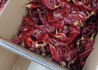 Red Jinta Chili 0,3% Max Kekeruhan Rasa Pintar Kuat 25KG Kemasan