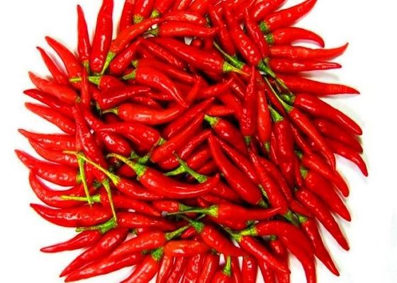 Buah-buahan tunggal rempah-rempah Buah paprika merah kering dengan 1% max Ketidaktentuan