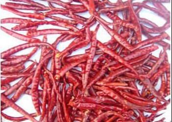 Buah Pepper Kering Merah Bernilai Gizi Tinggi Yang Dibuat Dengan Buah Pepper Chili Lezat dan Sehat