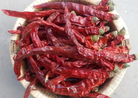 Bumbu Cabe Merah Kering Untuk Semua Importir Rempah 4-7 Cm