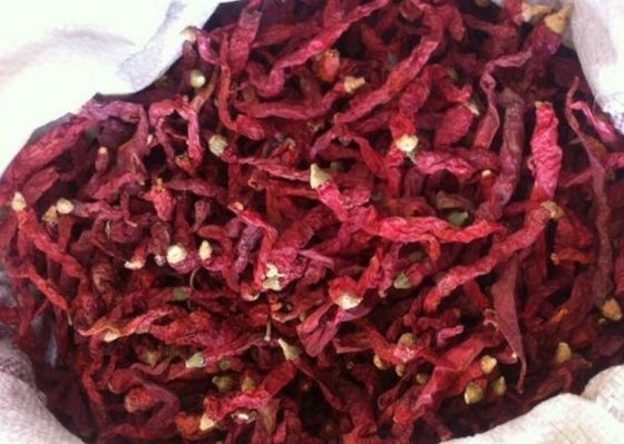 Bumbu Cabe Merah Kering Untuk Semua Importir Rempah 4-7 Cm