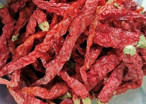 Guizhou Mantianxing Millet Pepper Kering Cabai Hot Pot Bumbu Bahan Baku Rempah-rempah
