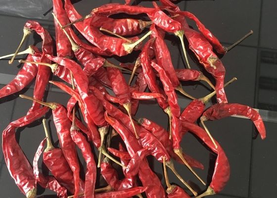 Red Yidu Chili Tianying Jinta Chili American Red Chilli Tanaman Baru FDA HACCP ISO KOSHER